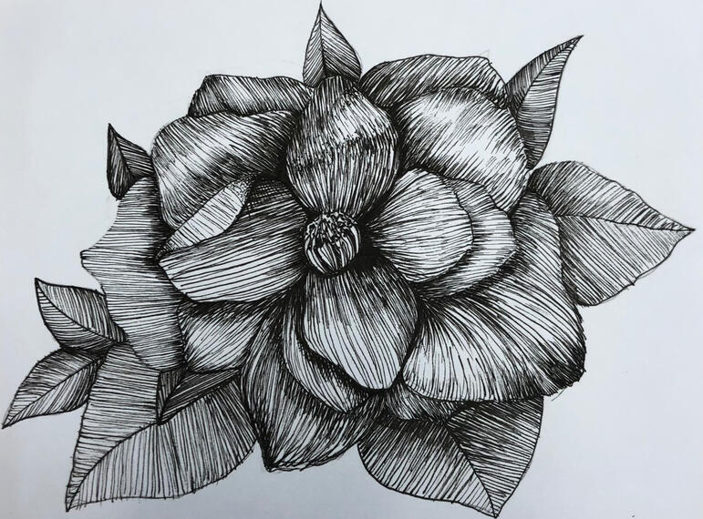 Continuous Line Drawing